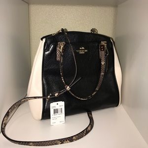 Coach Bags - Coach Minetta Exotic Crossbody (leather) Coach Bags - Coach Minetta Exotic Crossbody (leather)
